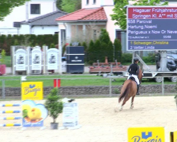 Reitturnier Ingolstadt-Hagau/Obb. 2025