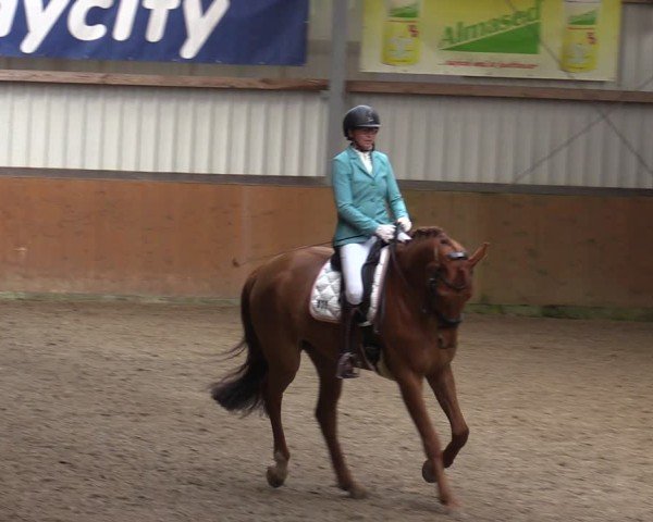 Reitturnier Schlieckau 2025
