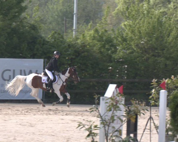 Reitturnier Nienberge 2025