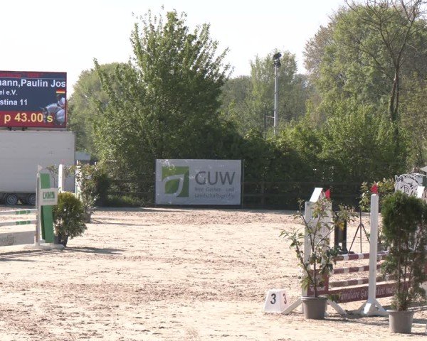Reitturnier Nienberge 2025