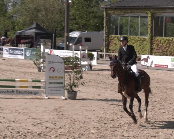 Reitturnier Nienberge 2025