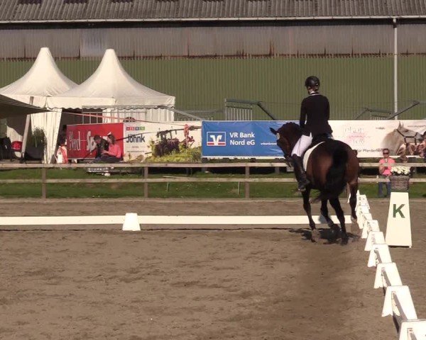 Reitturnier Kleinsolter Turniertage 2025