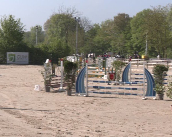 Reitturnier Nienberge 2025
