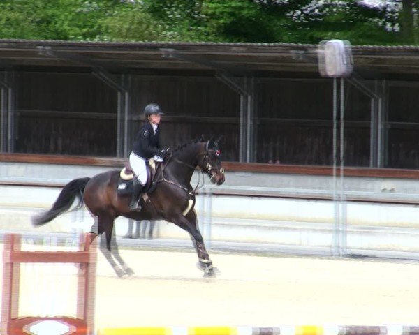 Reitturnier Ingolstadt-Hagau/Obb. 2025