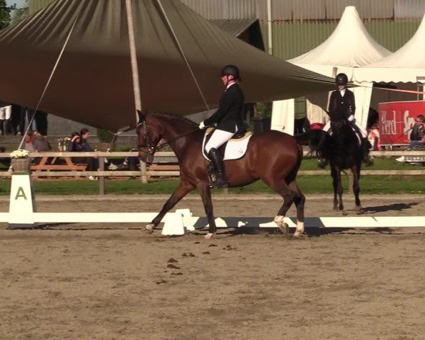 Reitturnier Kleinsolter Turniertage 2025