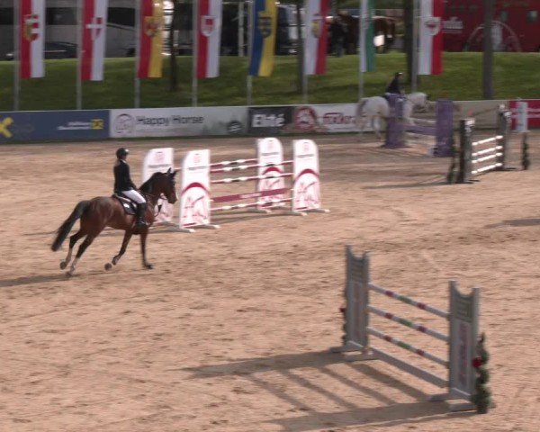 Internationales Springturnier Stadl-Paura 2025