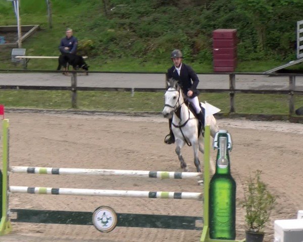 Reitturnier Sins 2025