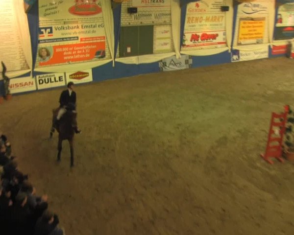 Spring-Pferde-Festival Lathen 2014