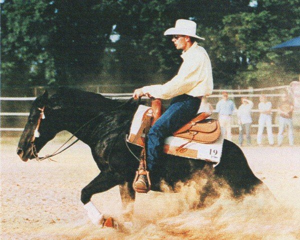 Deckhengst Mr Yukon Wonder (Quarter Horse, 1991, von Shades Of Wonder)
