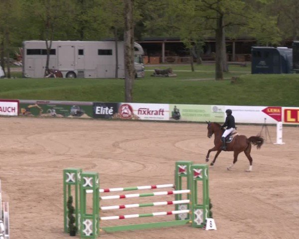 Internationales Springturnier Stadl-Paura 2025