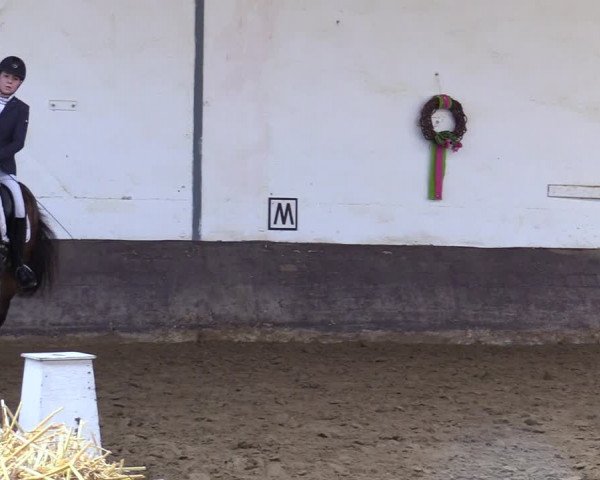 Reitturnier Ascheberg 2021