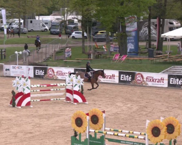 Internationales Springturnier Stadl-Paura 2025