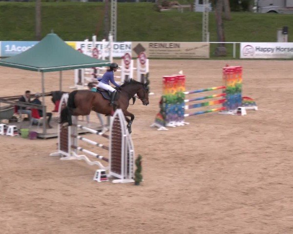 Internationales Springturnier Stadl-Paura 2025