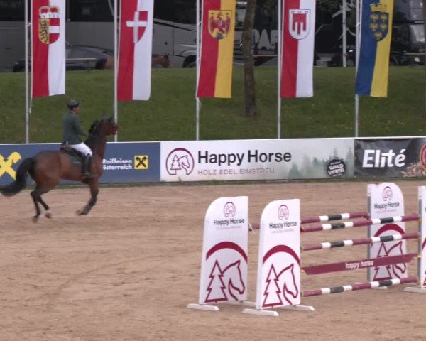 Internationales Springturnier Stadl-Paura 2025