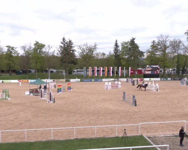 Internationales Springturnier Stadl-Paura 2025