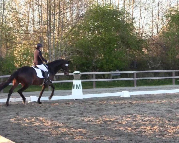 Reitturnier Kleinsolter Turniertage 2025