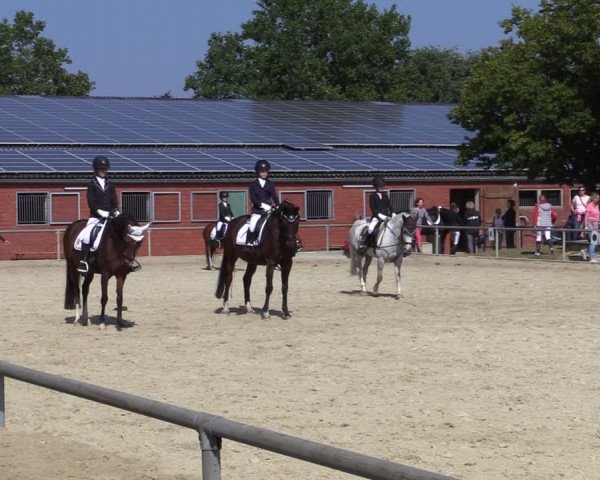 Reitturnier Ascheberg 2021