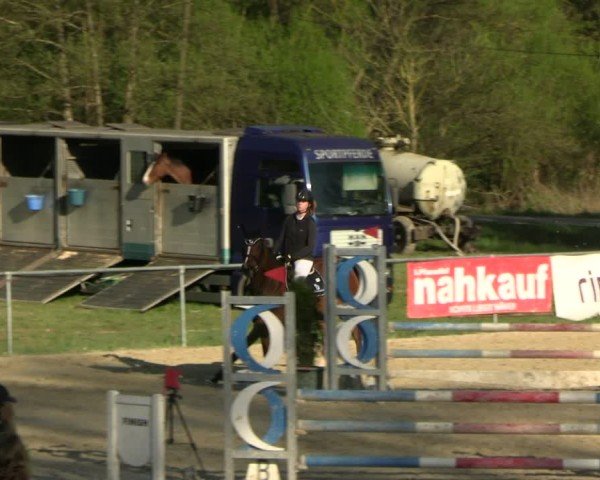 Reitturnier Bad Liebenstein 2025