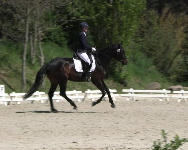 Reitturnier Pietzpuhl 2025