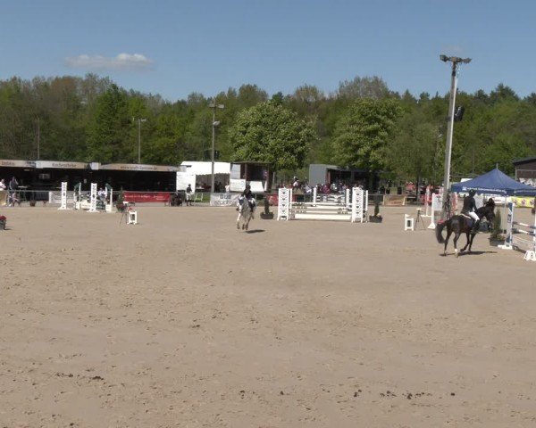 Reitturnier Olfen 2025
