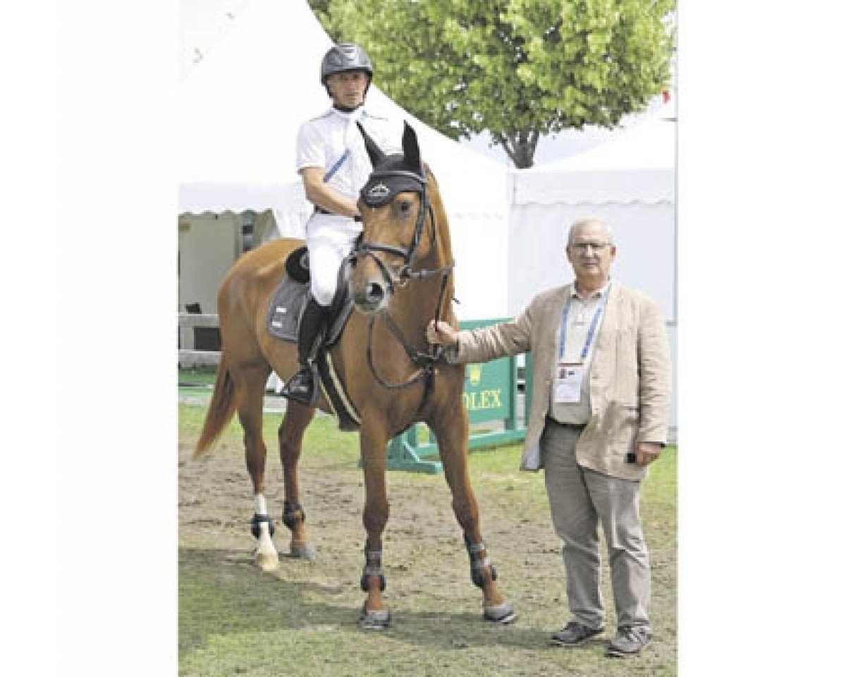 Springpferd Vadrouille d'Avril (Anglo-Araber, 2009, von Popayann AA)