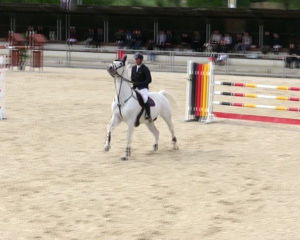Reitturnier Ingolstadt-Hagau/Obb. 2025