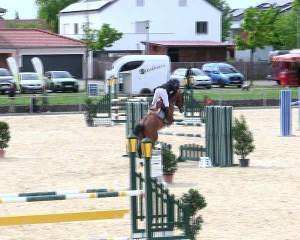Reitturnier Ingolstadt-Hagau/Obb. 2025
