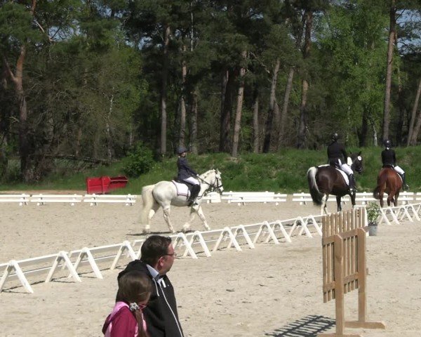 Reitturnier Pietzpuhl 2025