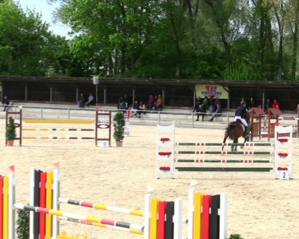 Reitturnier Ingolstadt-Hagau/Obb. 2025