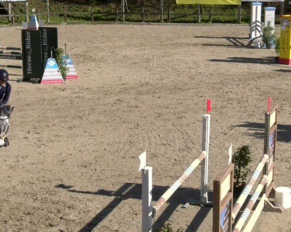 Reitturnier Sins 2025