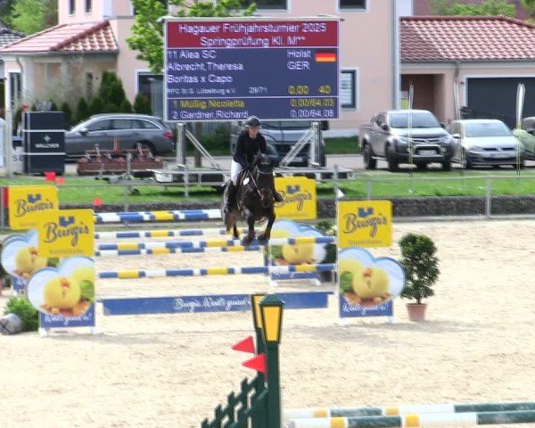 Reitturnier Ingolstadt-Hagau/Obb. 2025