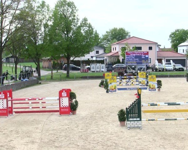 Reitturnier Ingolstadt-Hagau/Obb. 2025