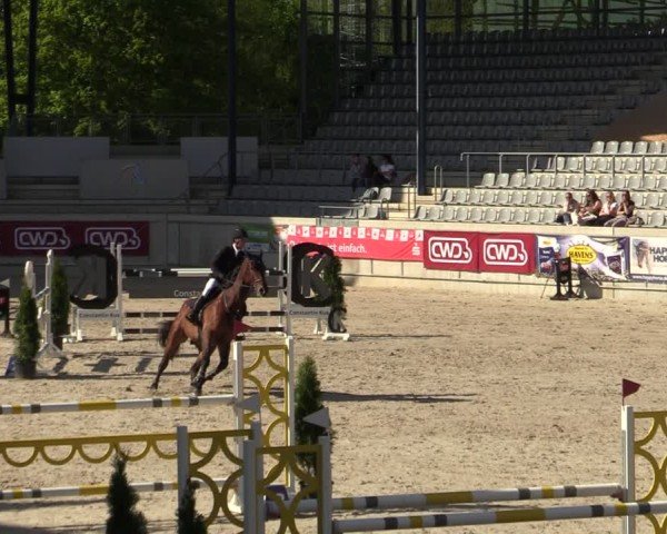 Reitturnier Aachen 2025
