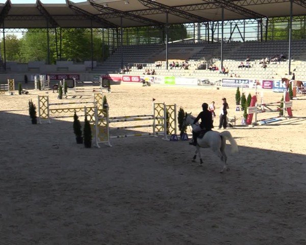 Reitturnier Aachen 2025