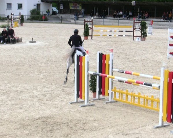 Reitturnier Ingolstadt-Hagau/Obb. 2025