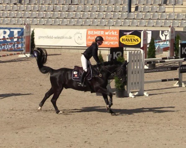 Reitturnier Aachen 2025