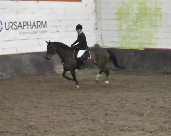 Neunkirchen-Furpach 2014