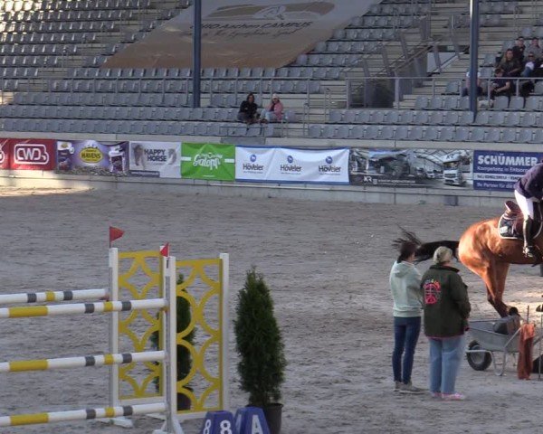 Reitturnier Aachen 2025