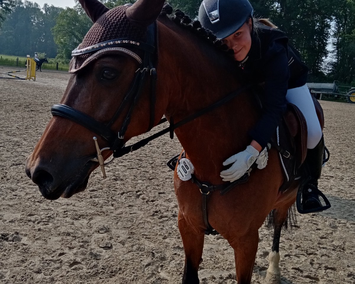 jumper Idun van het Jasperhof (Belgian Riding Pony, 2004, from Eternity van de N.Ranch)