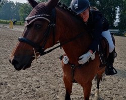 jumper Idun van het Jasperhof (Belgian Riding Pony, 2004, from Eternity van de N.Ranch)