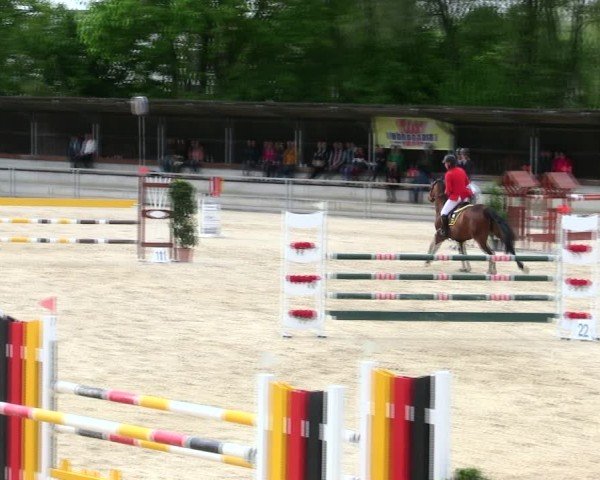 Reitturnier Ingolstadt-Hagau/Obb. 2025