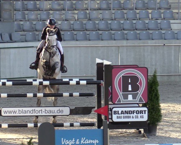 Reitturnier Aachen 2025