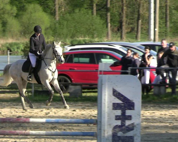 Reitturnier Bad Liebenstein 2025