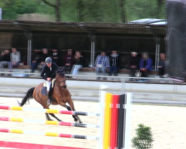 Reitturnier Ingolstadt-Hagau/Obb. 2025