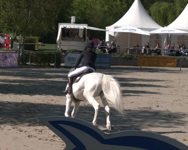 Reitturnier Olfen 2025