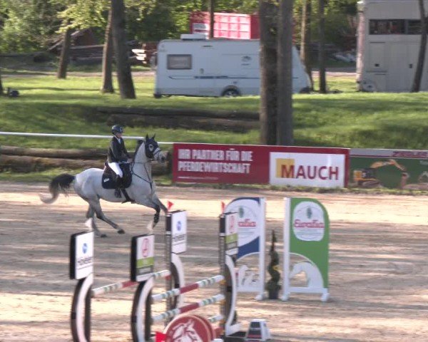 Internationales Springturnier Stadl-Paura 2025