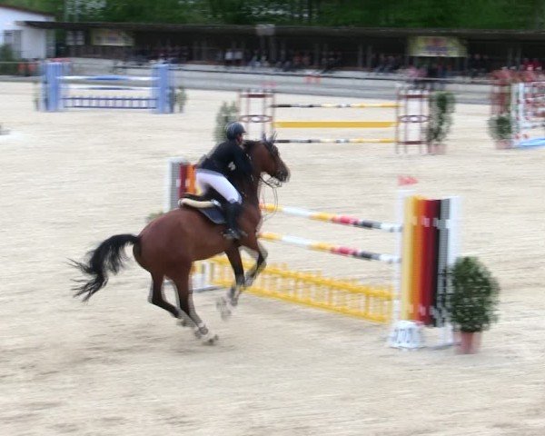 Reitturnier Ingolstadt-Hagau/Obb. 2025
