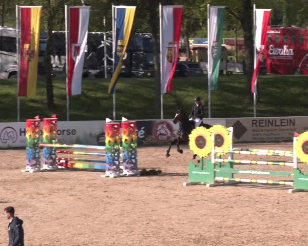 Internationales Springturnier Stadl-Paura 2025