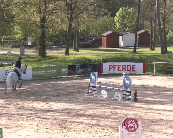 Internationales Springturnier Stadl-Paura 2025