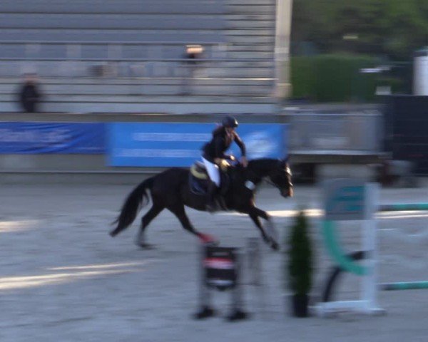 Reitturnier Aachen 2025